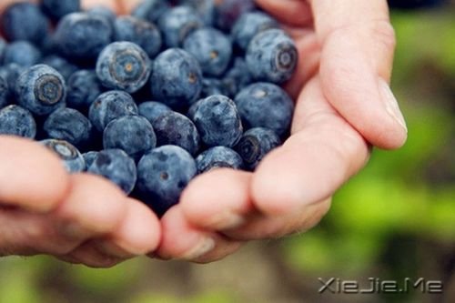 晚安心语：我很平凡，但我独一无二 (7)